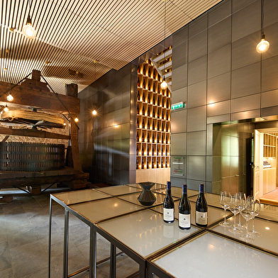 Domaine du Château de La Chaize