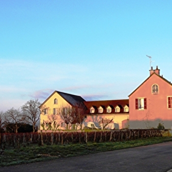 Jean Guy Pierre et Fils - ALOXE-CORTON