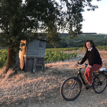 Château de Viviers - VIVIERS