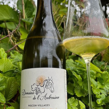 Domaine de L’Aubraine - SAINT-GENGOUX-DE-SCISSE