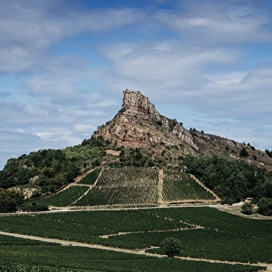 Domaine du Roc des Boutires