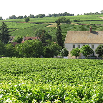 Creusefond Alain et Vincent - AUXEY-DURESSES