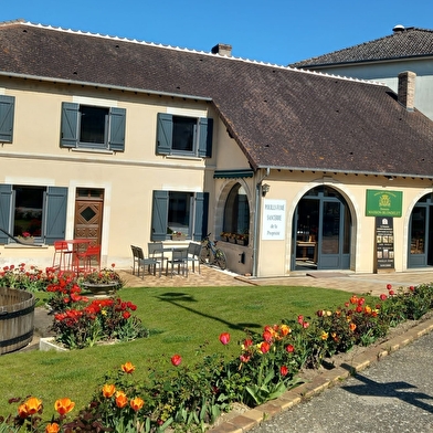 Domaine Masson Blondelet