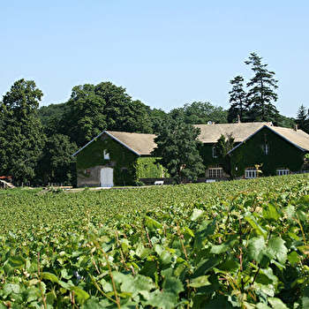 Domaine de l'Echelette - LA CHAPELLE-SOUS-BRANCION