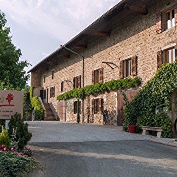 Domaine Passot - CHIROUBLES