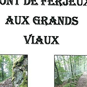 Circuit découverte du Pont de Ferjeux aux Grands Viaux - FOUGEROLLES-SAINT-VALBERT