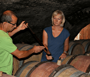 Domaine de la Combe Darroux - JULIENAS