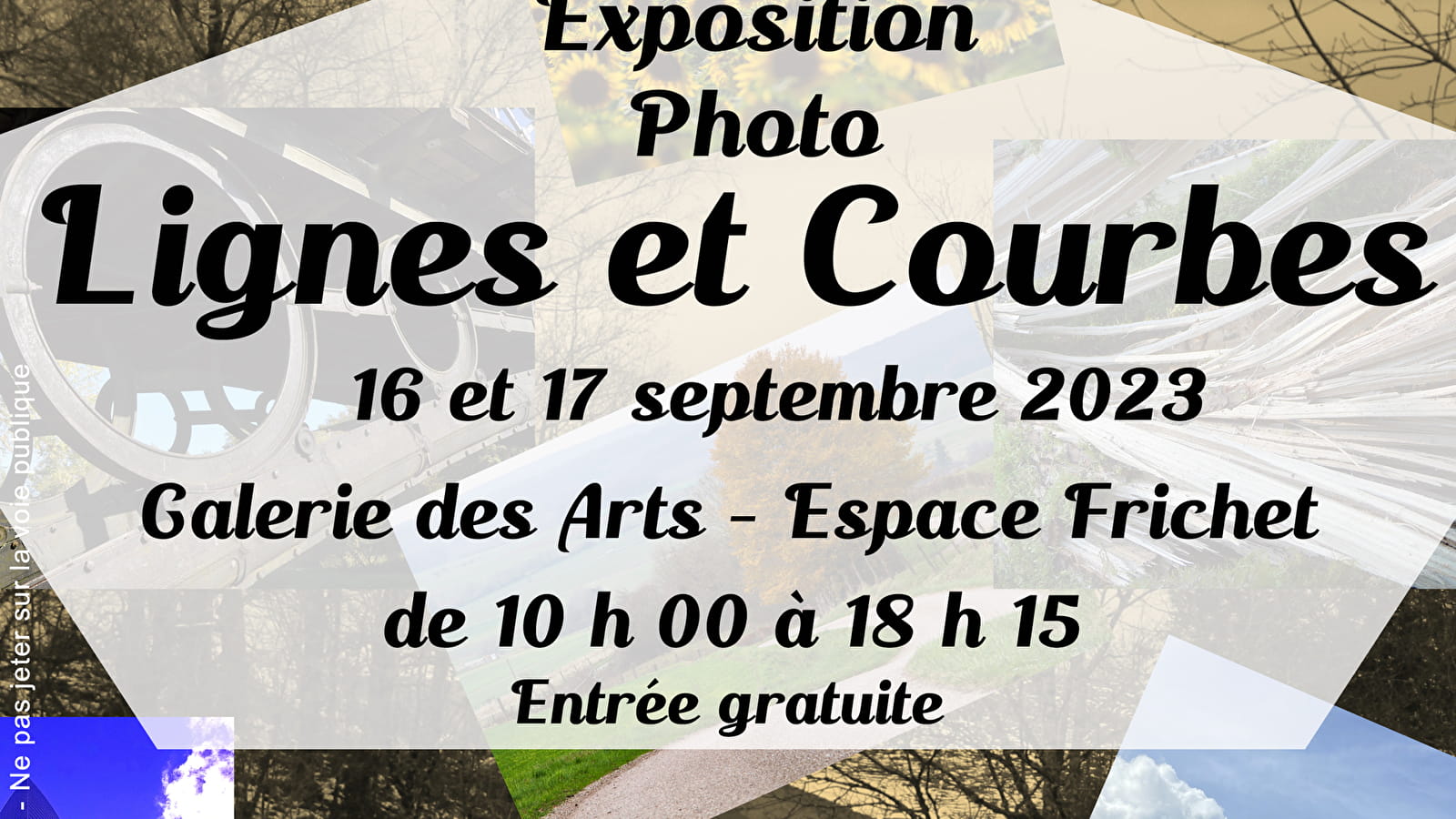 Exposition photo : Lignes et courbes