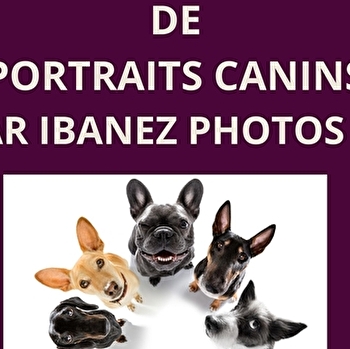 Exposition de portraits canins - LUXEUIL-LES-BAINS