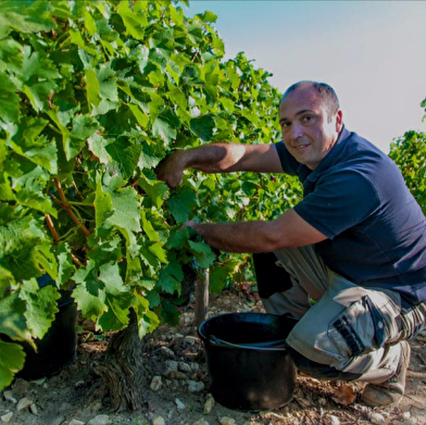 Domaine Nicolas Gaudry