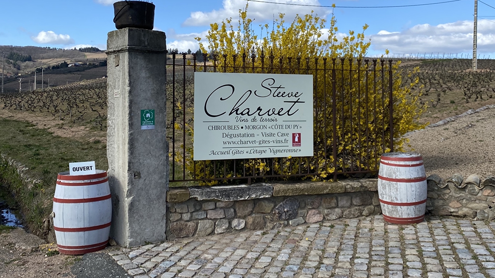 Domaine Steeve Charvet