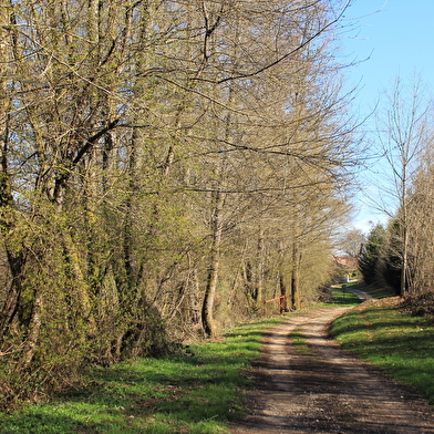 MOMENTANÉMENT FERMÉ : Circuit à la découverte de Fontaine