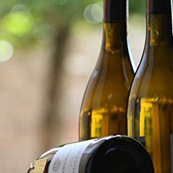 Bouchacourt Denis - SOLUTRE-POUILLY