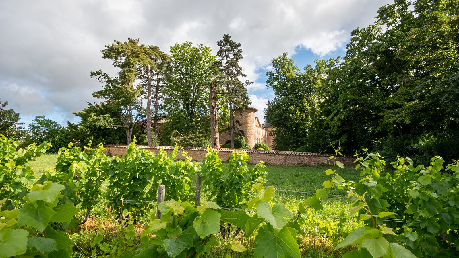 Château de Champ-Renard