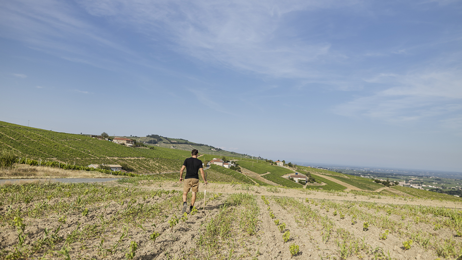 Domaine de Boischampt