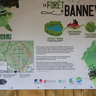 Forêt du Banney