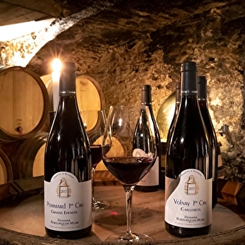 Rebourgeon-Mure - POMMARD