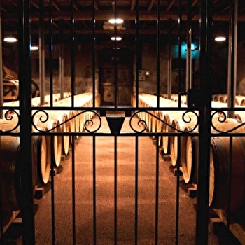 Duboeuf en Beaujolais - ROMANECHE-THORINS