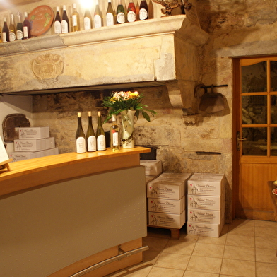 Vignoble Vincent Cheviet à Bucey les Gy