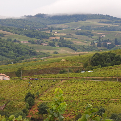 Domaine des Pivoines