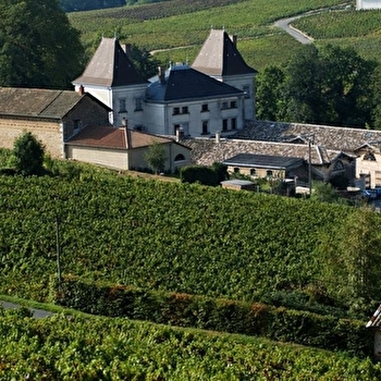 Château de Raousset - CHIROUBLES