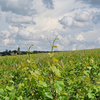 Domaine du Mont Epin