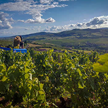 Domaine des Crais - LEYNES