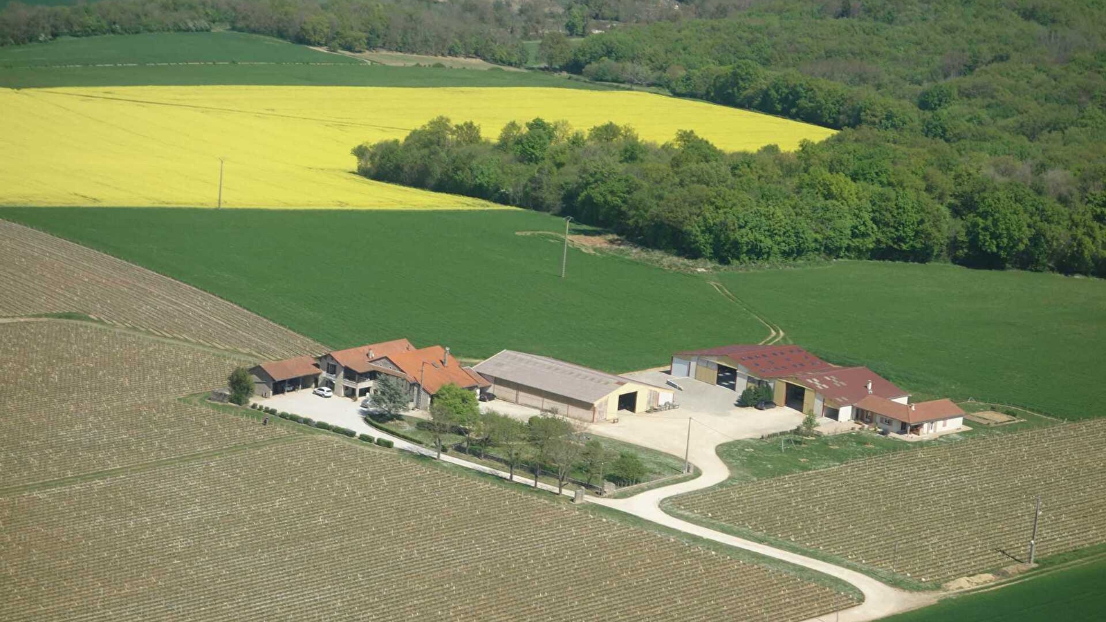 Domaine de Naisse -Brenot Beranger