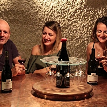 Domaine des Gandelins - Thevenet Patrick - LA CHAPELLE-DE-GUINCHAY