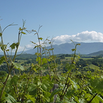 GAEC Maison Fusillet - BELLEY