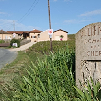 Domaine des chers - JULIENAS