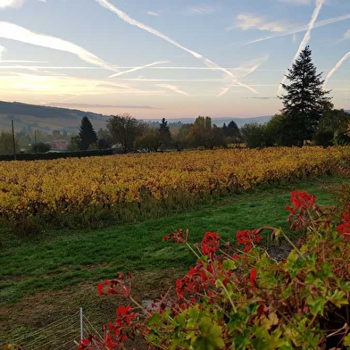 Domaine de la Boffeline