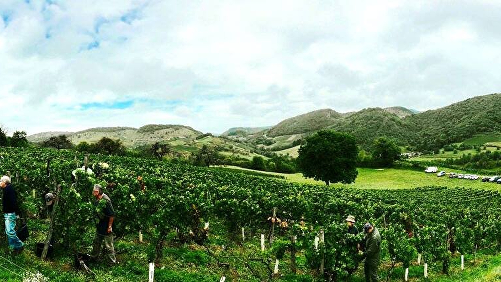 Caveau Bertrand-Chapel