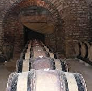 Domaine viticole de Motey-Besuche - MOTEY-BESUCHE