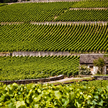 Bouchard Père et Fils - BEAUNE