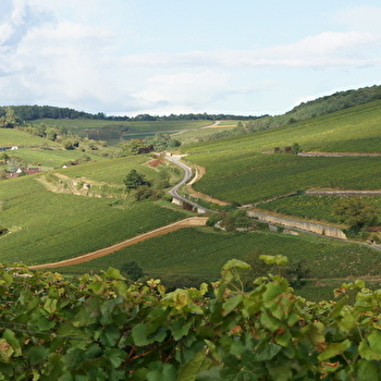 Berthod Aurélie - PERNAND-VERGELESSES