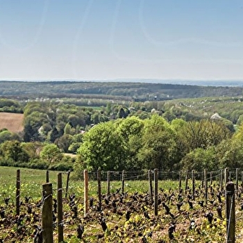 Domaine de la Coquillerie - NANNAY