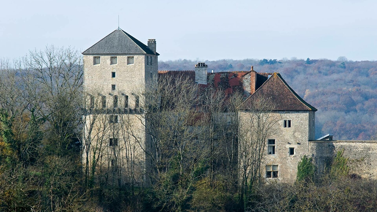 Château de Valleroy
