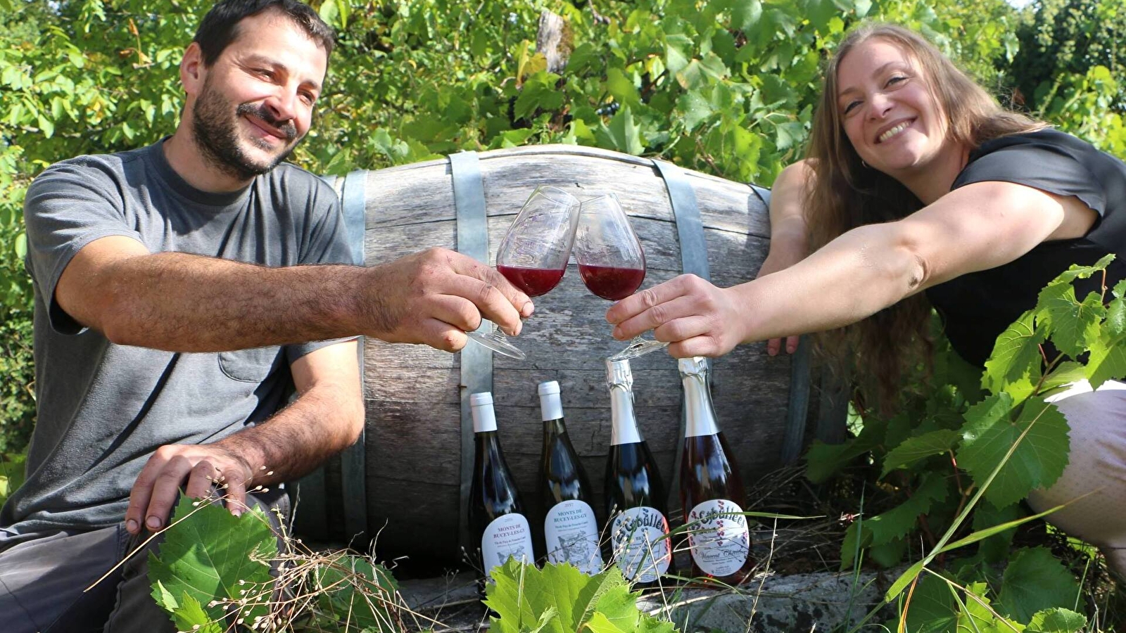 Vignoble Vincent Cheviet à Bucey les Gy