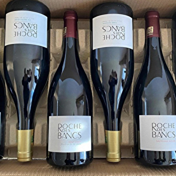 Domaine Roche des Bancs  - MAILLY