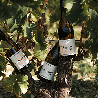 Domaine Régis Minet - Lucia Mineur Billet