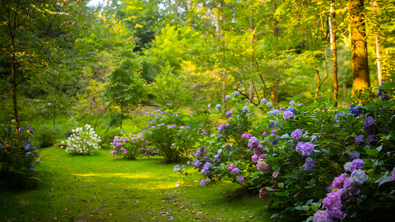 20ème anniversaire du Parc à l'anglaise de la Cude