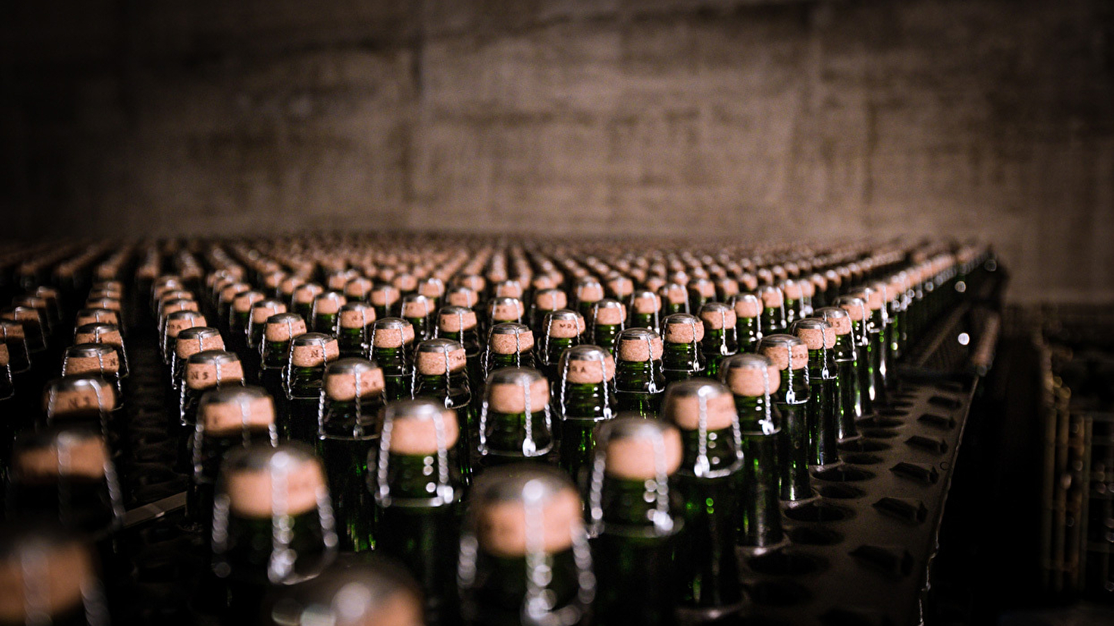 Caveau RENARDAT-FACHE