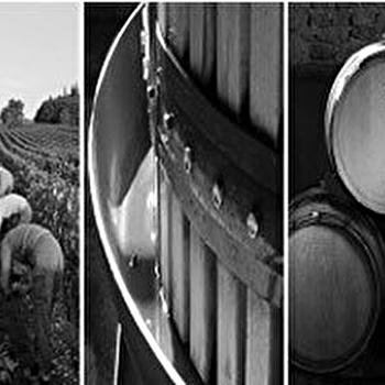 Atelier Nysa - SOLUTRE-POUILLY