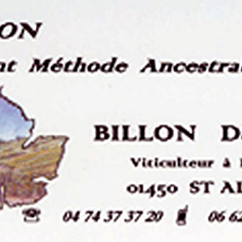 Caveau Daniel Billon - SAINT-ALBAN