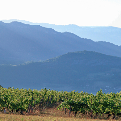 Les Mangeux d'Pierre