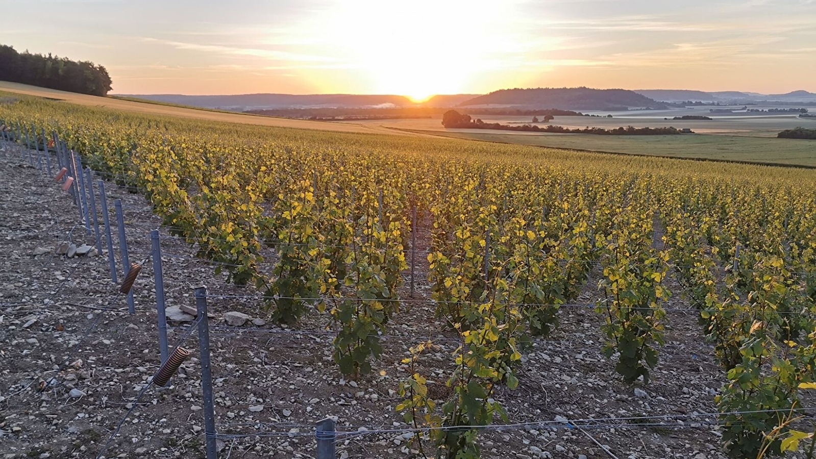 Cailletet Père et Fils