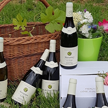 Lippe Isabelle - BROCHON