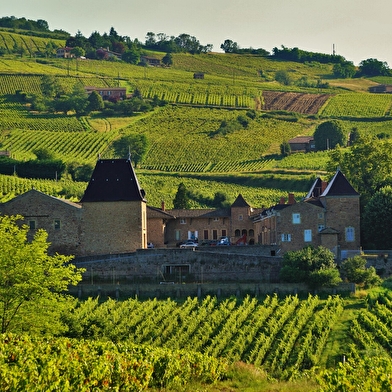 Château de Juliénas