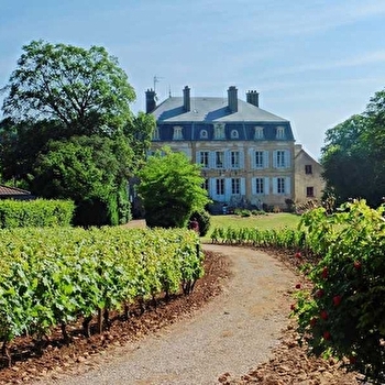 De Suremain - MERCUREY